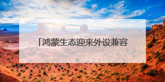 鸿蒙生态迎来外设兼容革命！国开鸿PDBox外设万能盒在HDC 2025大放异彩