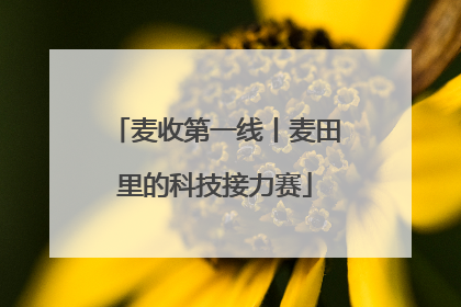 麦收第一线丨麦田里的科技接力赛