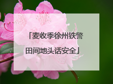 麦收季徐州铁警田间地头话安全
