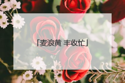麦浪黄 丰收忙