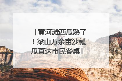 黄河滩西瓜熟了！梁山万余亩沙瓤瓜直达市民餐桌