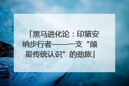 黑马进化论：印第安纳步行者——一支“颠覆传统认识”的劲旅
