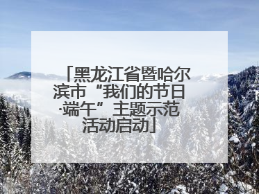 黑龙江省暨哈尔滨市“我们的节日·端午”主题示范活动启动