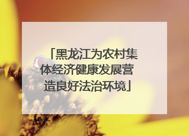 黑龙江为农村集体经济健康发展营造良好法治环境