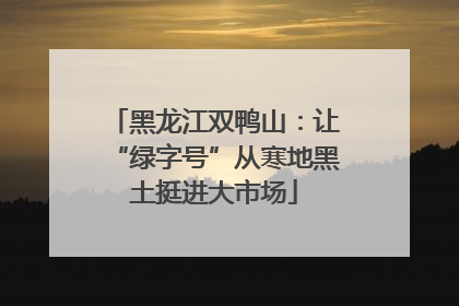 黑龙江双鸭山：让“绿字号”从寒地黑土挺进大市场
