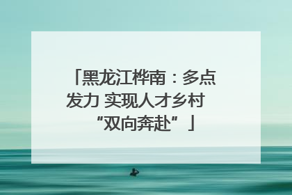 黑龙江桦南：多点发力 实现人才乡村“双向奔赴”