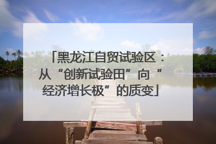 黑龙江自贸试验区：从“创新试验田”向“经济增长极”的质变