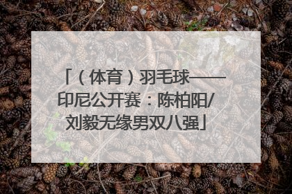 （体育）羽毛球——印尼公开赛：陈柏阳/刘毅无缘男双八强