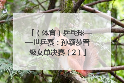（体育）乒乓球——世乒赛：孙颖莎晋级女单决赛（2）