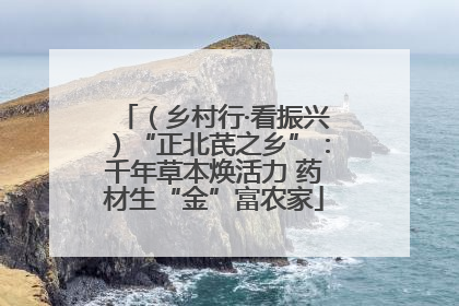 （乡村行·看振兴）“正北芪之乡”：千年草本焕活力 药材生“金”富农家