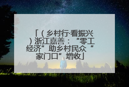 （乡村行·看振兴）浙江嘉善：“零工经济”助乡村民众“家门口”增收