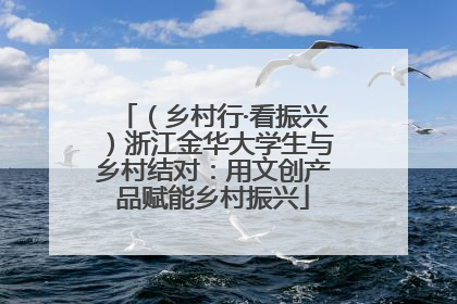 （乡村行·看振兴）浙江金华大学生与乡村结对：用文创产品赋能乡村振兴