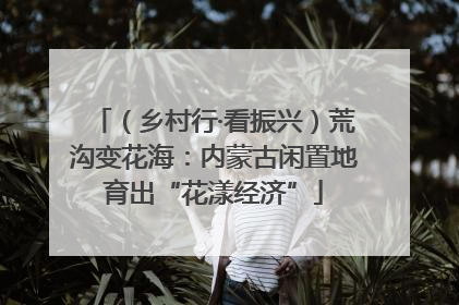 （乡村行·看振兴）荒沟变花海：内蒙古闲置地育出“花漾经济”