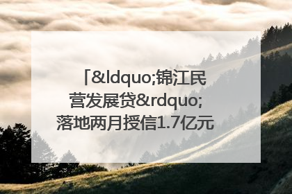“锦江民营发展贷”落地两月授信1.7亿元，惠及118家民企