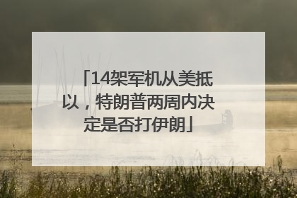 14架军机从美抵以，特朗普两周内决定是否打伊朗