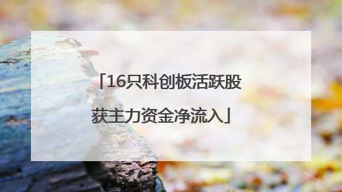16只科创板活跃股获主力资金净流入