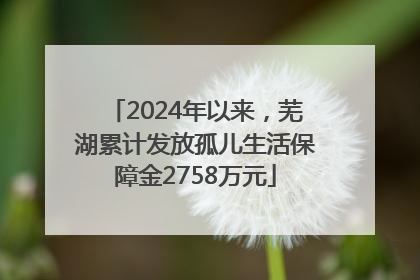 2024年以来，芜湖累计发放孤儿生活保障金2758万元