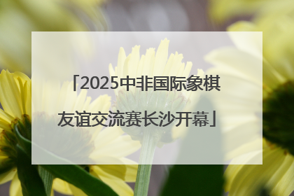 2025中非国际象棋友谊交流赛长沙开幕
