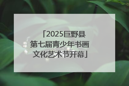 2025巨野县第七届青少年书画文化艺术节开幕