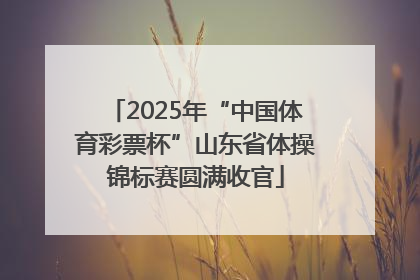 2025年“中国体育彩票杯”山东省体操锦标赛圆满收官