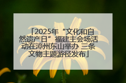 2025年“文化和自然遗产日”福建主会场活动在漳州东山举办 三条文物主题游径发布