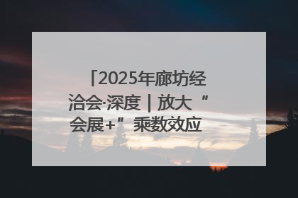 2025年廊坊经洽会·深度｜放大“会展+”乘数效应 打造消费新场景