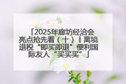 2025年廊坊经洽会亮点抢先看（十）丨离境退税“即买即退”便利国际友人“买买买”