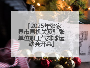 2025年张家界市直机关及驻张单位职工气排球运动会开幕