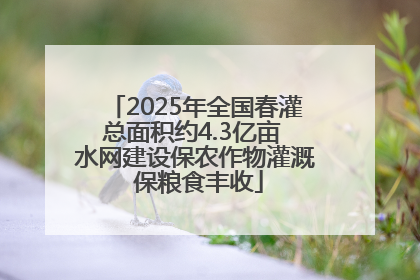 2025年全国春灌总面积约4.3亿亩 水网建设保农作物灌溉 保粮食丰收