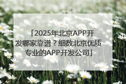 2025年北京APP开发哪家靠谱？细数北京优质专业的APP开发公司