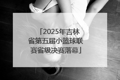 2025年吉林省第五届小篮球联赛省级决赛落幕