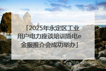 2025年永定区工业用户电力座谈培训暨电e金服推介会成功举办