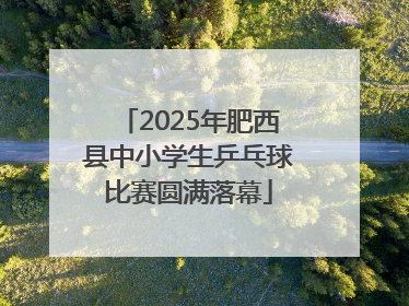 2025年肥西县中小学生乒乓球比赛圆满落幕