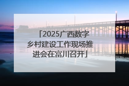 2025广西数字乡村建设工作现场推进会在富川召开