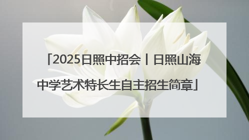 2025日照中招会丨日照山海中学艺术特长生自主招生简章