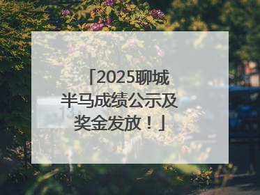 2025聊城半马成绩公示及奖金发放！