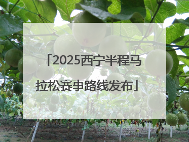 2025西宁半程马拉松赛事路线发布