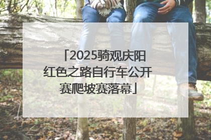 2025骑观庆阳红色之路自行车公开赛爬坡赛落幕