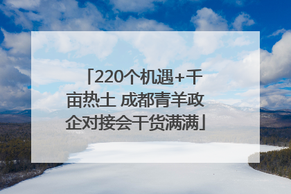 220个机遇+千亩热土 成都青羊政企对接会干货满满