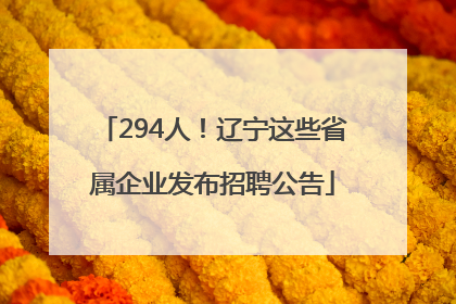 294人！辽宁这些省属企业发布招聘公告