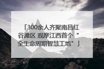 300余人齐聚南昌红谷滩区 观摩江西首个“全生命周期智慧工地”