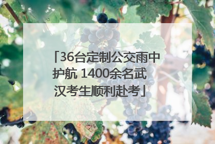 36台定制公交雨中护航 1400余名武汉考生顺利赴考