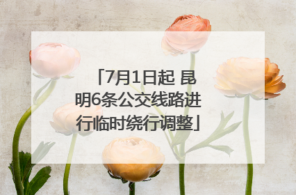 7月1日起 昆明6条公交线路进行临时绕行调整