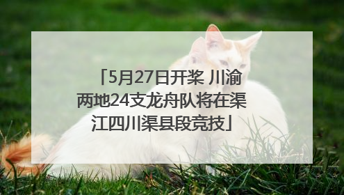 5月27日开桨 川渝两地24支龙舟队将在渠江四川渠县段竞技