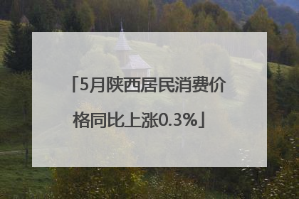 5月陕西居民消费价格同比上涨0.3%