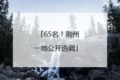 65名！荆州一地公开选调