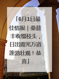 6月1日最佳情报｜桑葚丰收缀枝头，日出霞光万道蓬勃壮观！恭喜