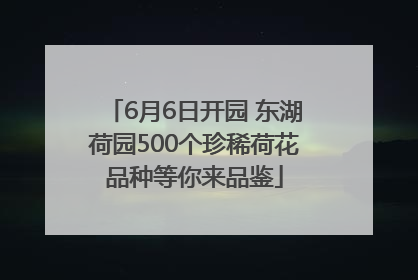 6月6日开园 东湖荷园500个珍稀荷花品种等你来品鉴