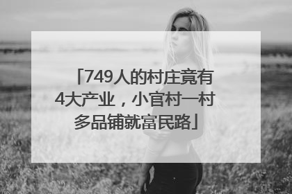 749人的村庄竟有4大产业，小官村一村多品铺就富民路