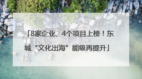 8家企业、4个项目上榜！东城“文化出海”能级再提升